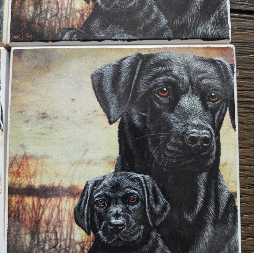 AbsorbaStone Set of 4 Black Labrador Retriever Dogs Absorbent Stone Coasters